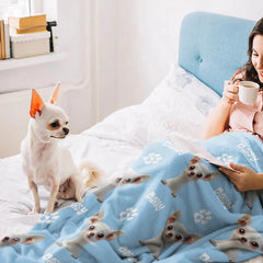 7613ce539564f46df2a2a4b0a799e6e5