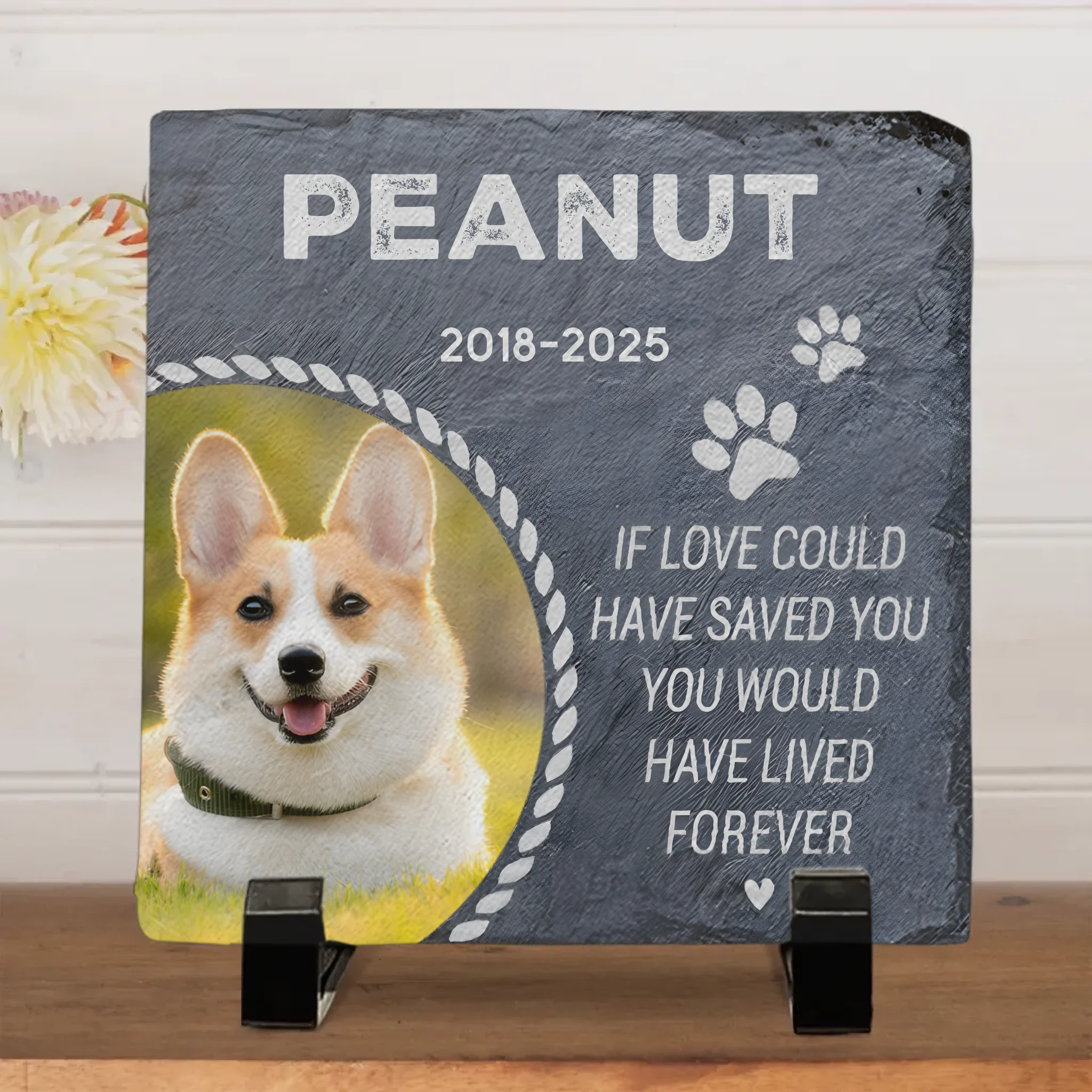 8c0a4010-fc5a-4ba9-a267-854caf092a76