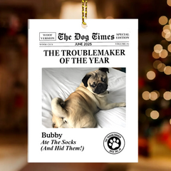 w2_ce6b8190-0bc6-4e2b-9a99-a654360cf579